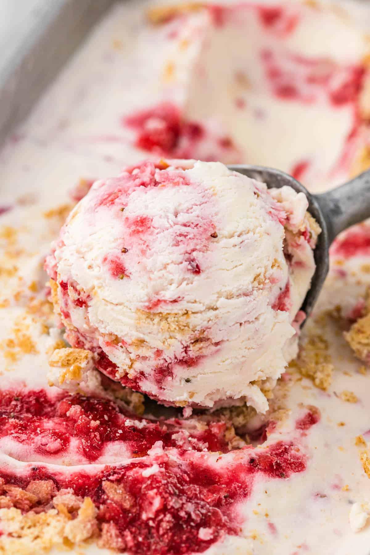 Migliore Gelato al Cheesecake alla Fragola 2 Porzione di gelato cheesecake alle fragole in un mestolo da gelato