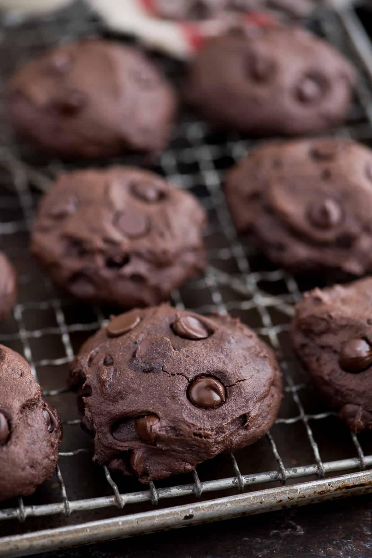 Biscotti Sani al Cioccolato Fondente e Olio di Cocco - Stimati a 150 calorie. Adoro che la ricetta richieda ingredienti comuni e senza zucchero raffinato, burro o olio! Otto biscotti sani al cioccolato fondente e olio di cocco con gocce di cioccolato su una griglia di raffreddamento.