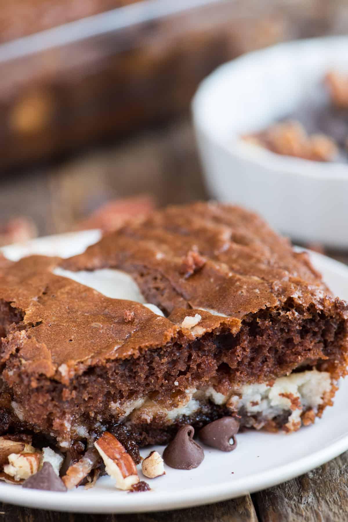 Torta Terremoto 2 Fetta di torta terremoto su piatto bianco