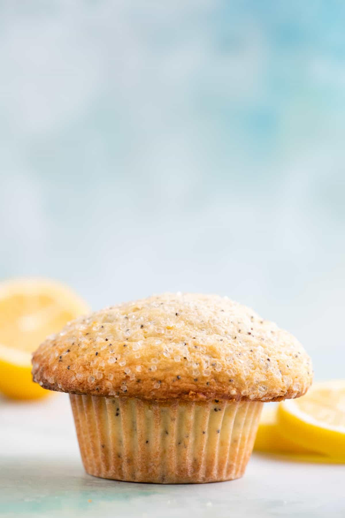 Migliori Muffin al Limone e Semi di Papavero 3 un muffin al limone e semi di papavero con fette di limone sullo sfondo