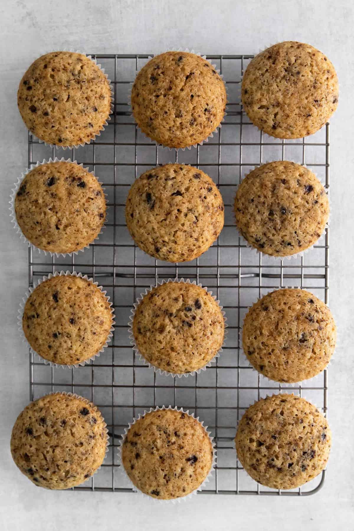 Cupcakes al caffè 4 muffin al caffè senza glassa su griglia