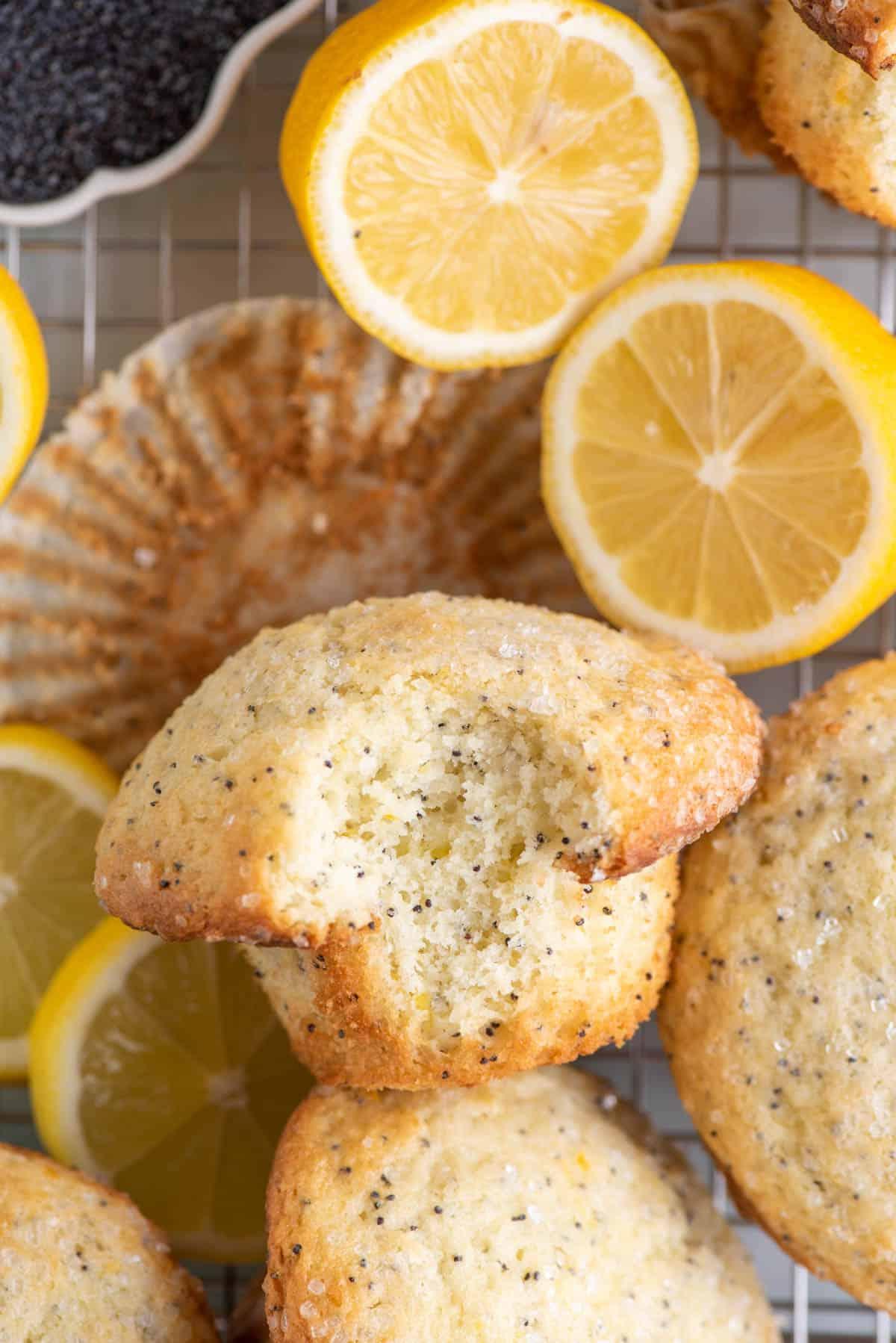 Migliori Muffin al Limone e Semi di Papavero 4 primo piano di un mucchio di muffin al limone e semi di papavero in una teglia con fette e bucce di limone, con un morso mancante dal muffin superiore e una ciotola di semi di papavero nell'angolo in alto a destra