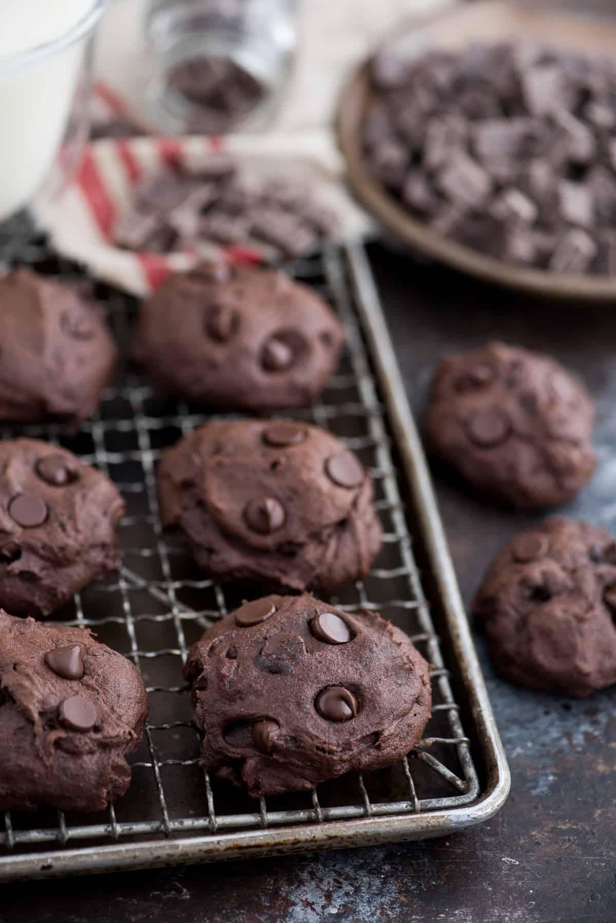 Biscotti Più Sani al Cioccolato Fondente e Olio di Cocco 2 Questi biscotti sani al cioccolato fondente e olio di cocco sono stimati a 150 calorie. Adoro che la ricetta richieda ingredienti comuni e senza zucchero raffinato, burro o olio!