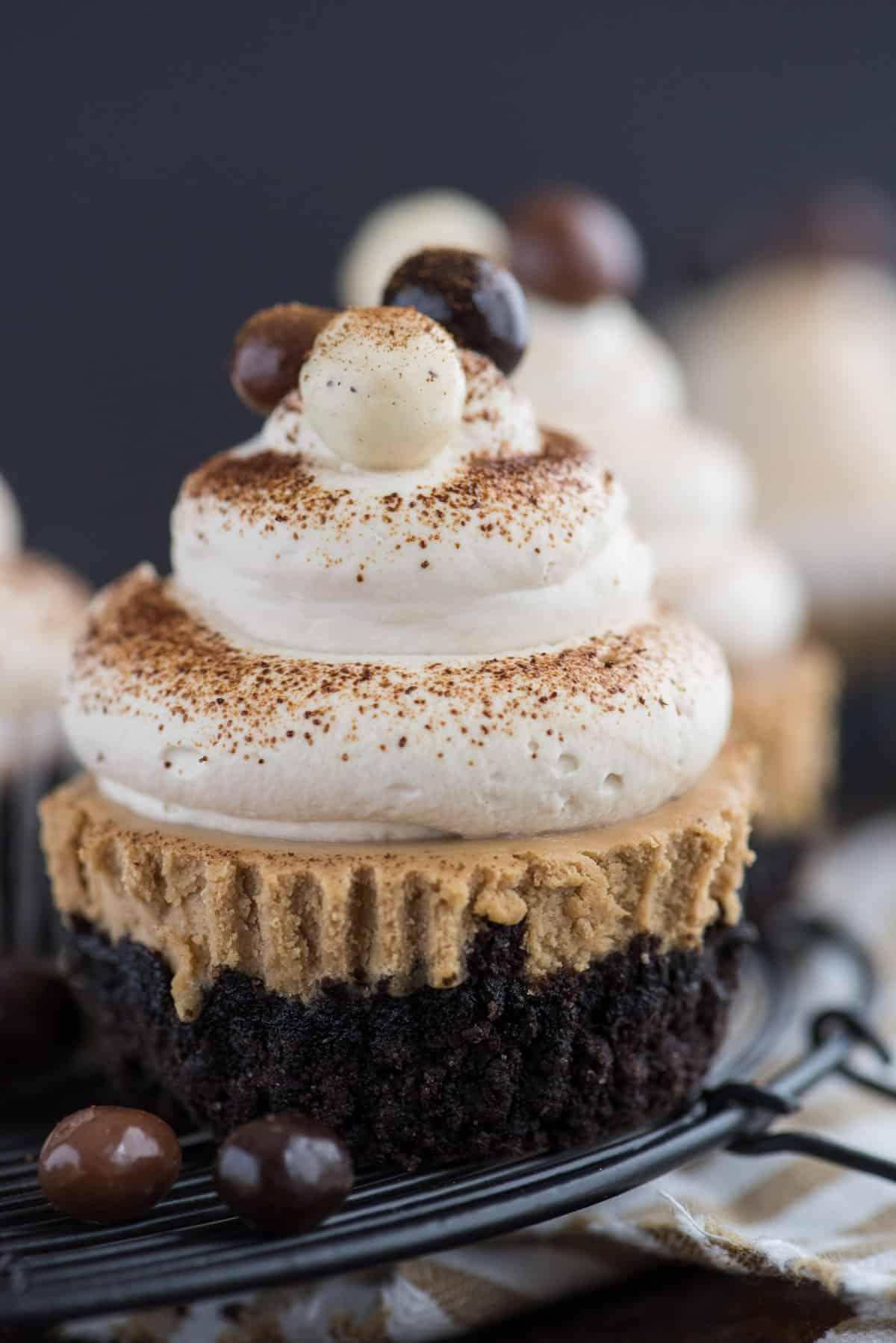 Questa è una ricetta di mini cheesecake al caffè che piacerà a tutti e che userai più e più volte! L'intera ricetta richiede solo 7 ingredienti e la prepari in uno stampo per muffin di dimensioni normali! Inoltre, puoi usare una base di Oreo o una base di cracker Graham per queste mini cheesecake all'espresso. #minicheesecake #coffeecheesecake #minicoffeecheesecake #espressocheesecake #mochacheesecake Mini cheesecake al caffè con panna montata al caffè e chicchi di caffè espresso su griglia metallica