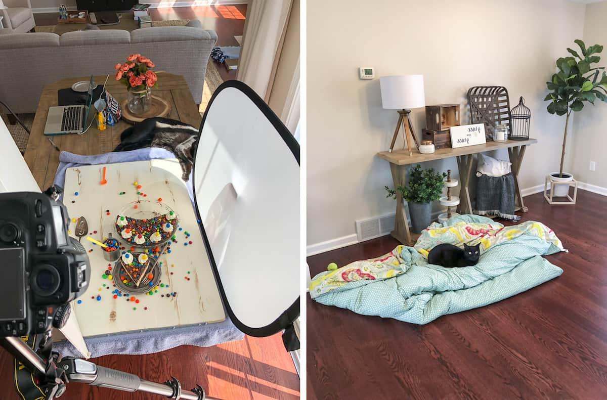 Il gatto Salsa in posizioni buffe e backstage della torta M&M