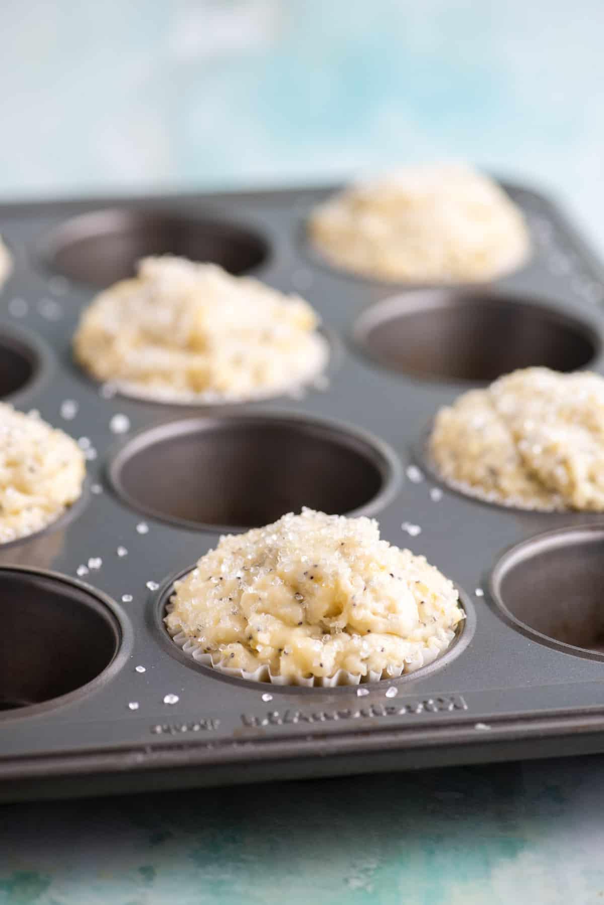 Migliori Muffin al Limone e Semi di Papavero 6 impasto di muffin al limone e semi di papavero in una teglia per muffin