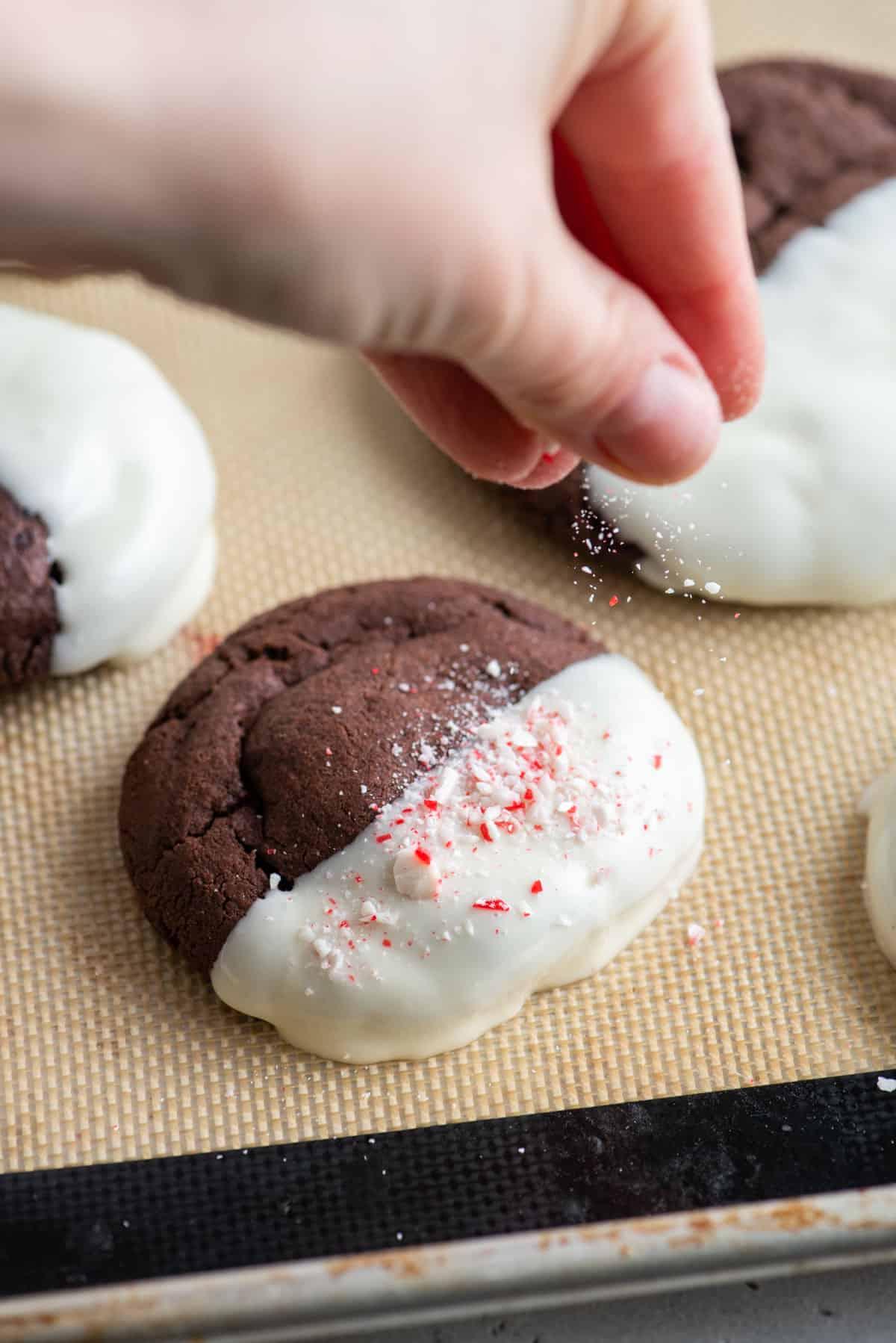 Questi Biscotti al Cioccolato e Bastoncini di Zucchero sono morbidi, gommosi, immersi nel cioccolato bianco e cosparsi di bastoncini di zucchero tritati. Una mano che sparge bastoncini di zucchero tritati su un biscotto