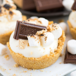 S'mores Cheesecake in Coppette Senza Cottura 6 Mini Cheesecake S'mores Senza Cottura con base di biscotto, ripieno cremoso, marshmallow tostati e pezzetti di cioccolato Hershey's, circondata da mini marshmallow e pezzi di cioccolato extra.