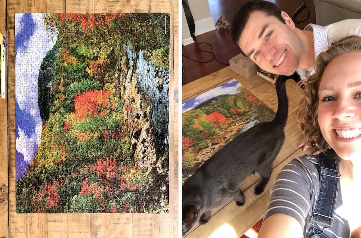 Puzzle completato con un paesaggio alberato