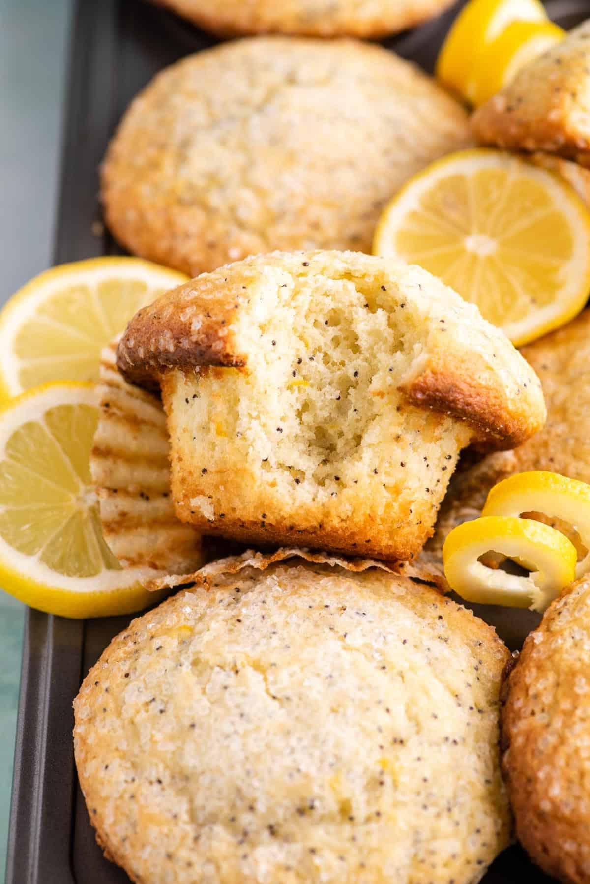 Migliori Muffin al Limone e Semi di Papavero 7 primo piano di un mucchio di muffin al limone e semi di papavero in una teglia con fette e bucce di limone