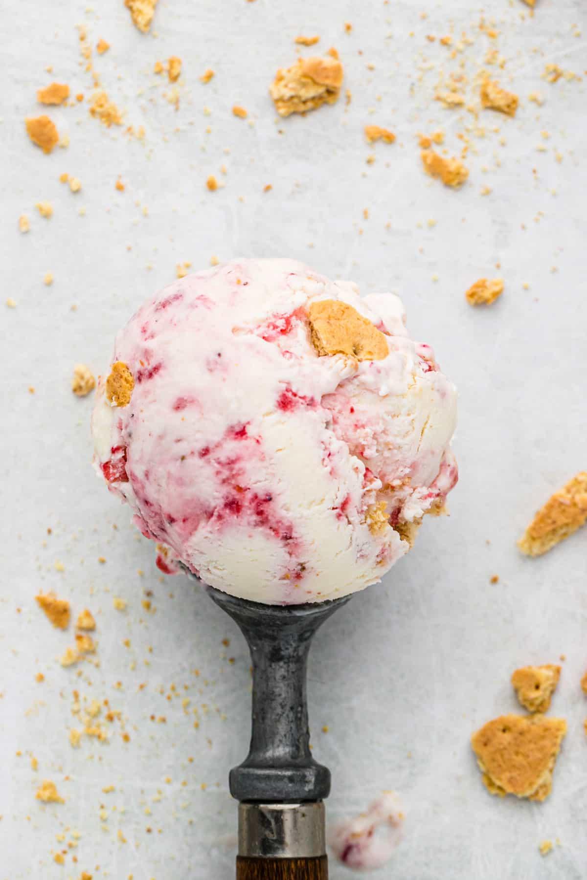 Migliore Gelato al Cheesecake alla Fragola 7 Porzione di gelato cheesecake alle fragole in un mestolo da gelato