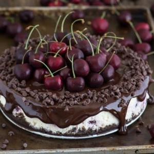 Cheesecake al Cioccolato e Ciliegie 8 Cheesecake al cioccolato e ciliegie fresche con crosta al cioccolato, ciliegie nell'impasto e ganache