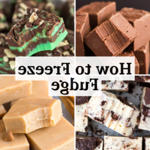 Si può congelare il fudge? 15 Four types of fudge in separate squares—chocolate, mint chocolate, cookies and cream, and peanut butter—all with bite marks. Center text reads, “How to Freeze Fudge.” Can you freeze fudge? Find out with this simple guide!.