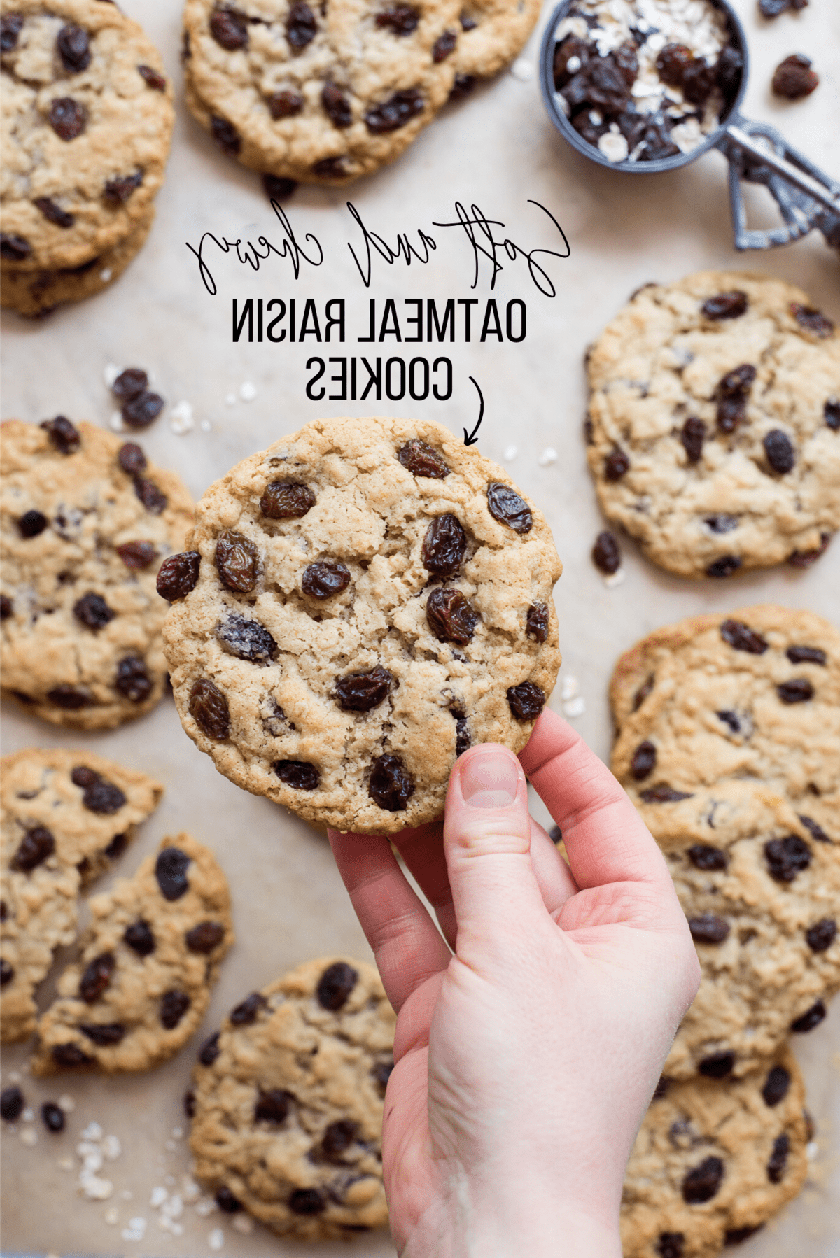 Biscotti all'avena e uvetta fatti in casa 6 Biscotti avena e uvetta su carta forno marrone con uvetta e avena sparse intorno con testo in sovrimpressione
