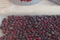 Your Guide to Freezing Saskatoon Berries