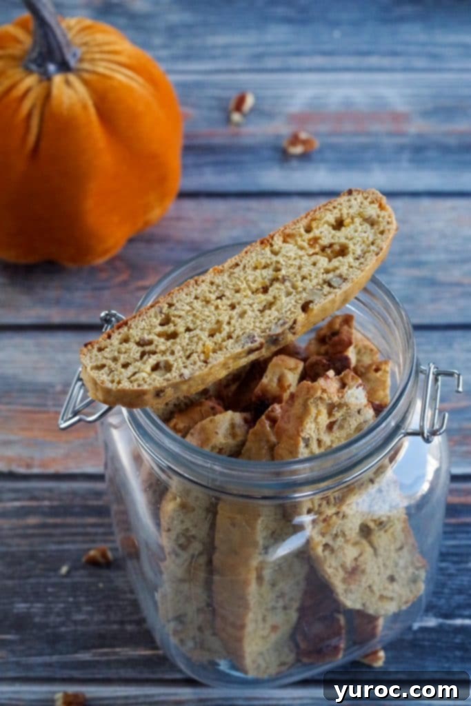Pumpkin biscotti in a clear glass jar with one biscotti resting on top, and a decorative stuffed pumpkin in the background, signaling fall