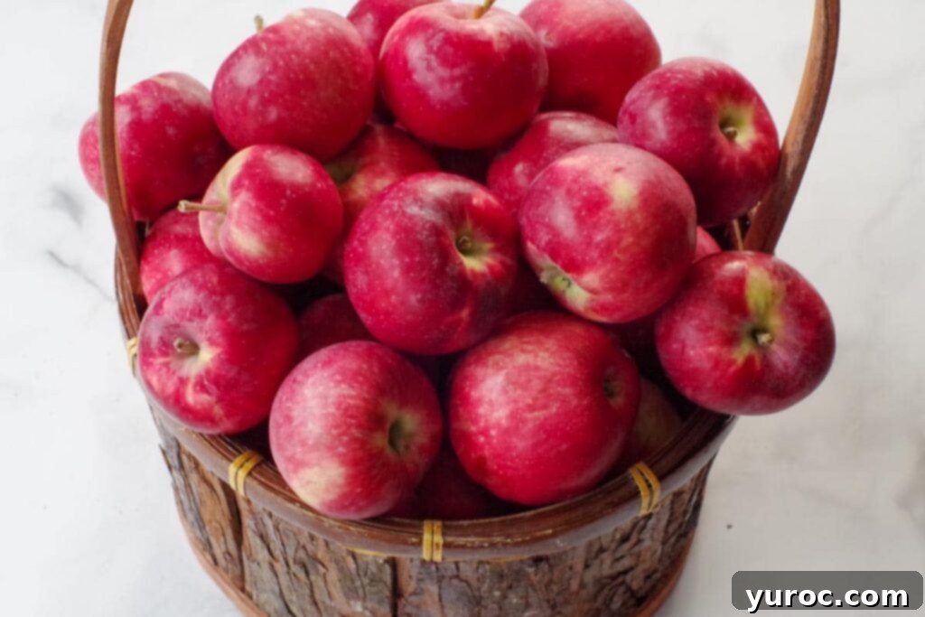 apples in a barrel