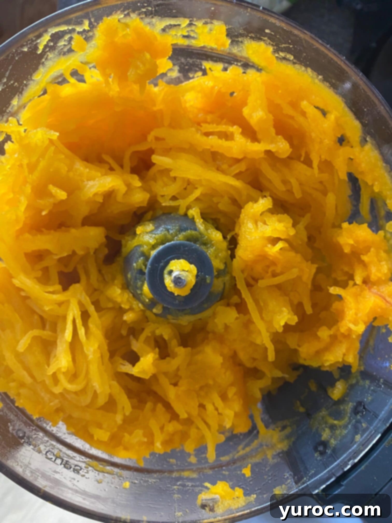 Unlock the Secrets of Whole Pumpkin Cooking and Homemade Purée 12 pumpkin in food processor