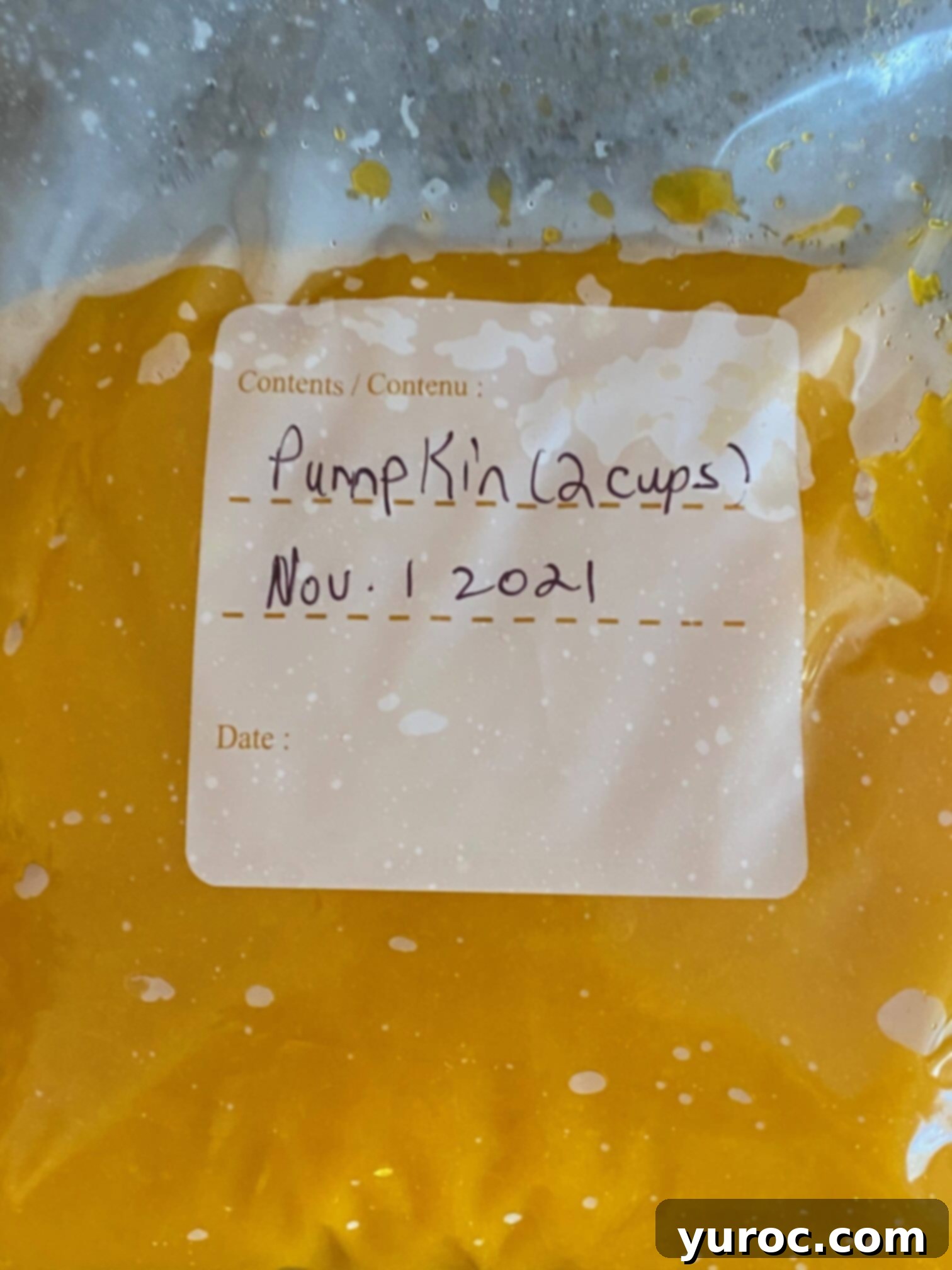 Unlock the Secrets of Whole Pumpkin Cooking and Homemade Purée 16 pumpkin puree in a freezer bag