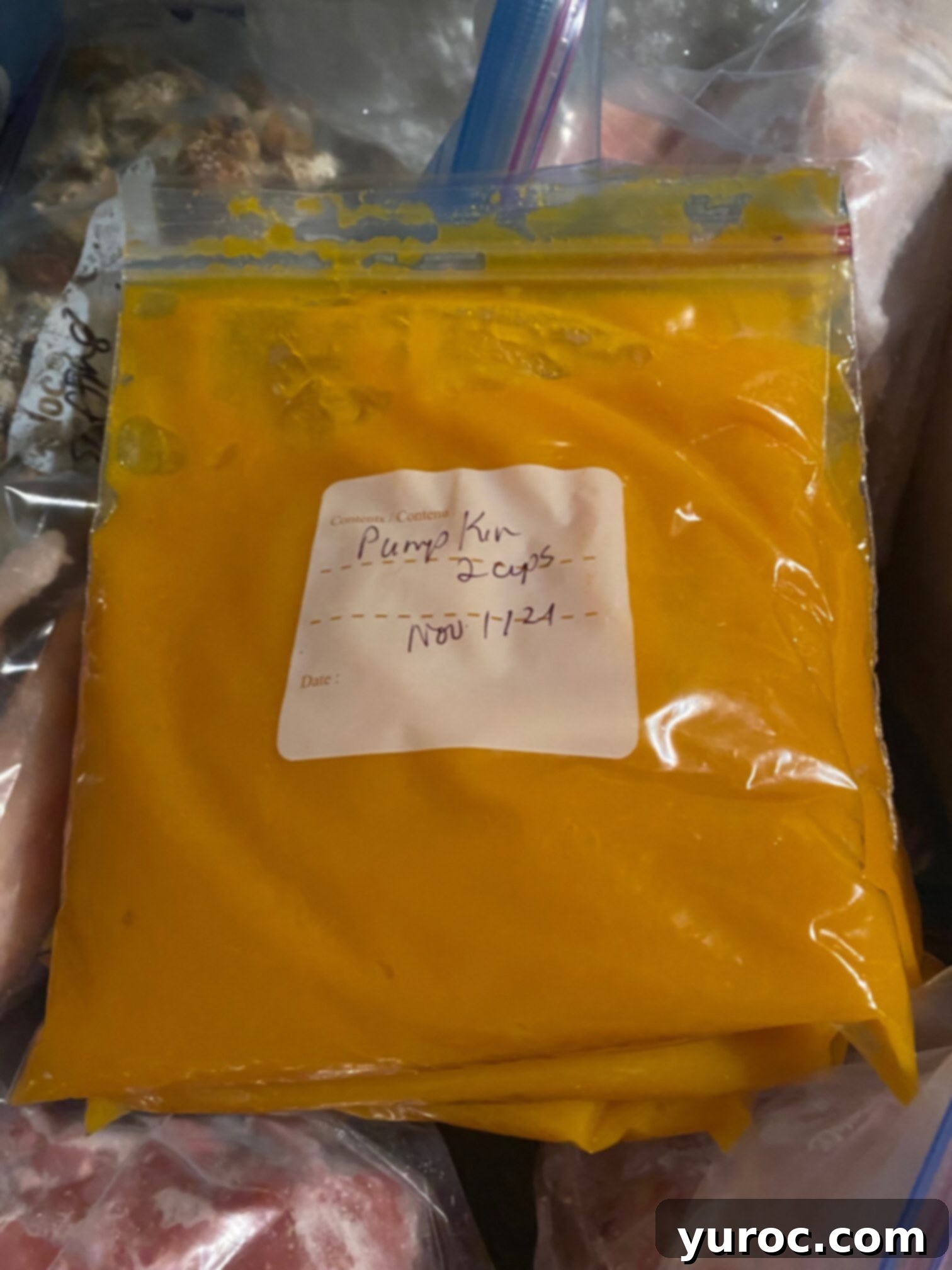 Unlock the Secrets of Whole Pumpkin Cooking and Homemade Purée 17 Freezer bags of pumpkin puree stacked flat