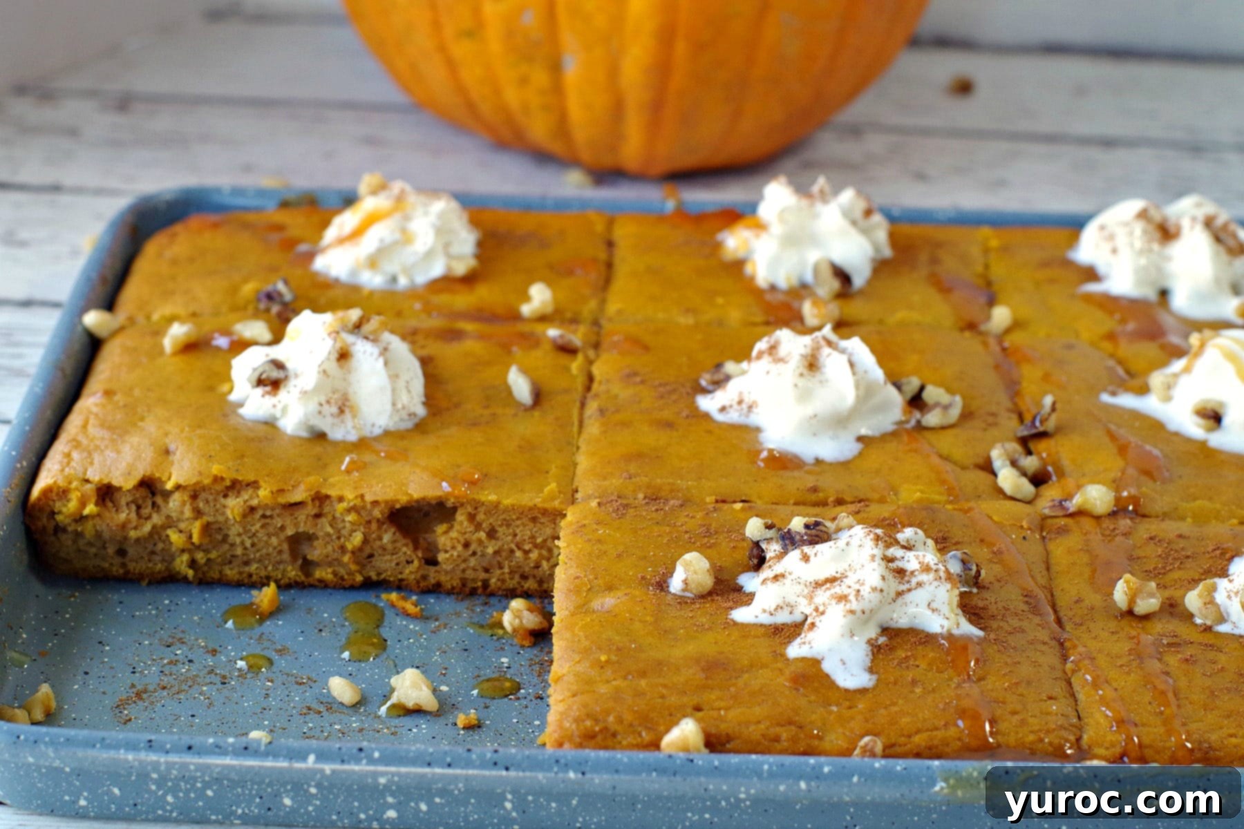 Unlock the Secrets of Whole Pumpkin Cooking and Homemade Purée 6 pumpkin spice pancakes on a sheet pan with one pancake missing and pumpkin in background