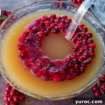 cranberry punch with a cranberry ice ring floating on, a ladle in the middle