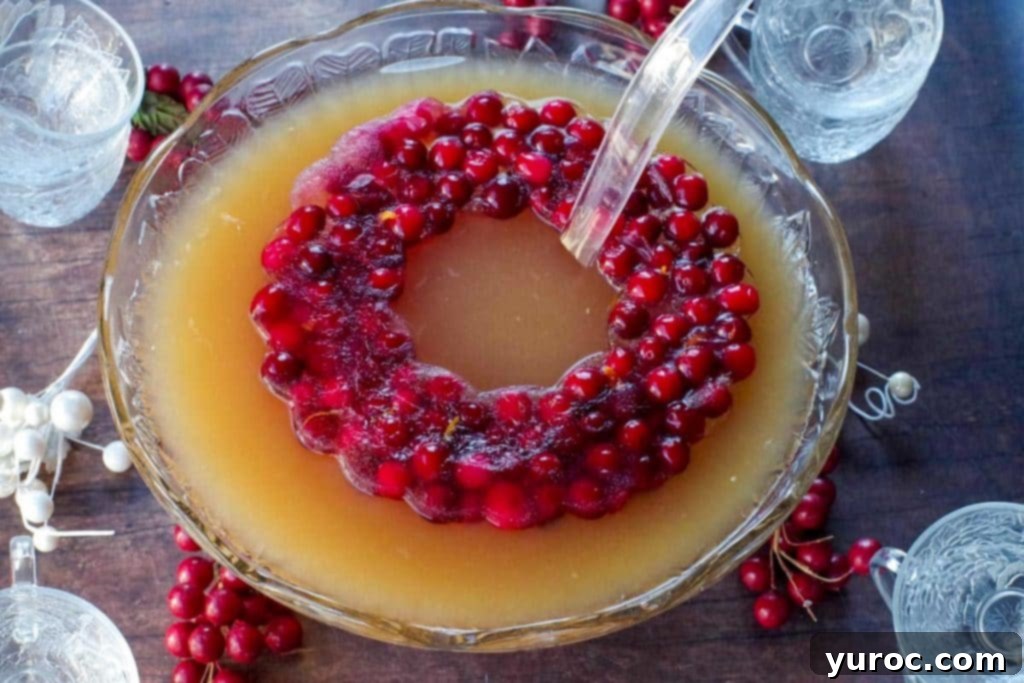 Merry Berry Brunch Sparkler 2 Festive Cranberry Christmas Punch with a beautiful cranberry and orange ice ring, and a ladle ready for serving.
