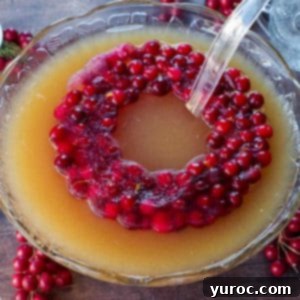 Merry Berry Brunch Sparkler 9 cranberry punch with a cranberry ice ring floating on, a ladle in the middle