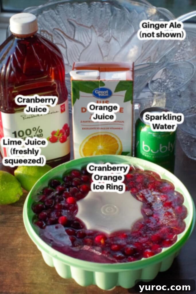 Merry Berry Brunch Sparkler 3 Labeled ingredients for Cranberry Christmas Brunch Punch, including juices, sparkling water, and frozen cranberries for the ice ring.