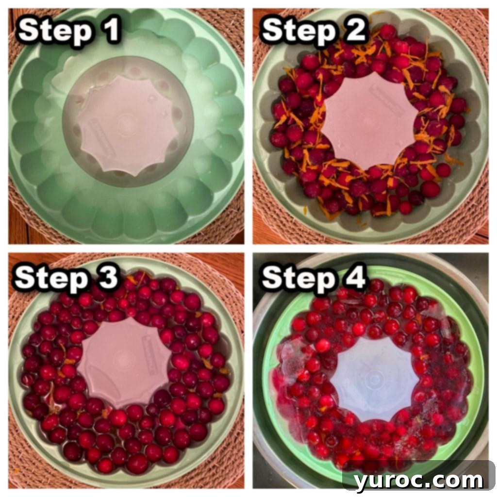 Merry Berry Brunch Sparkler 5 A four-panel collage demonstrating the step-by-step process of making a cranberry ice ring for punch.