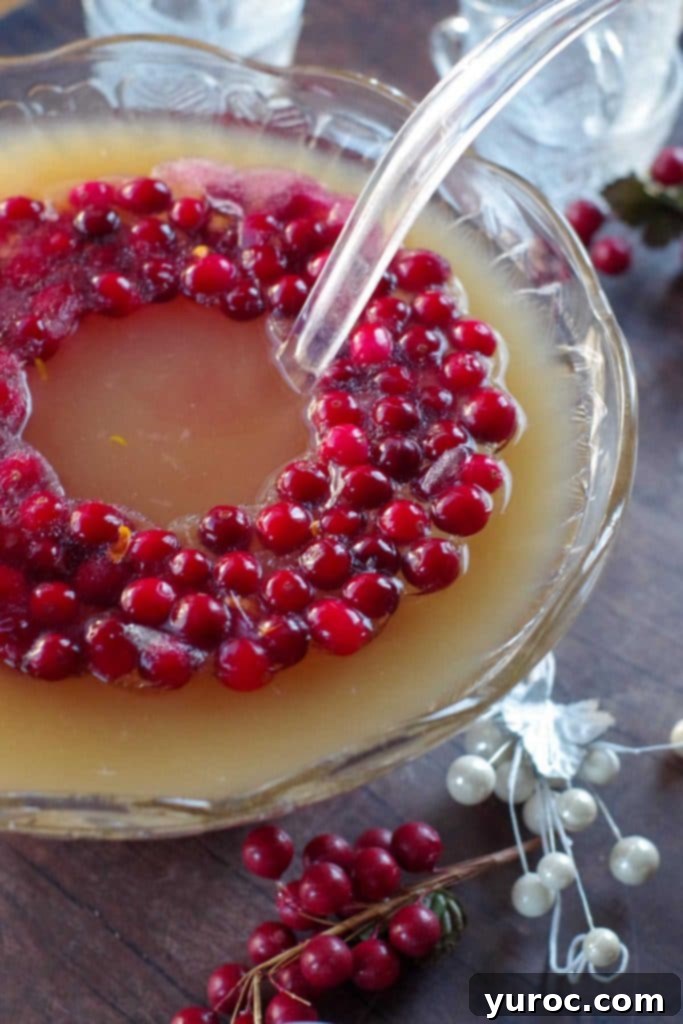 Merry Berry Brunch Sparkler 8 Close-up of Cranberry Christmas Punch in a punch bowl with a floating cranberry ice ring and a ladle, ready to serve.