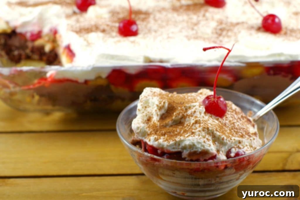 An inviting image of a No Bake Black Forest Tiramisu Dessert, featuring layers of chocolate, cherries, and creamy mascarpone, highlighted for foodmeanderings.com.