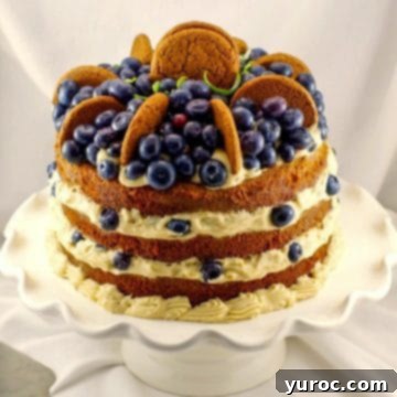 A beautifully layered classic gingerbread cake with a luscious cookie butter filling, adorned with fresh blueberries and gingerbread cookies.