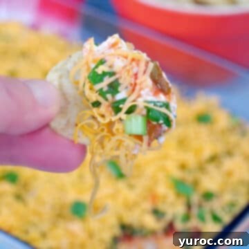A crisp tortilla chip enthusiastically being dipped into a flavorful cold nacho dip, highlighting its irresistible texture.