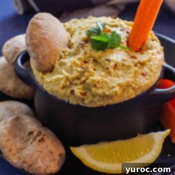 Creamy yogurt hummus presented in a stylish black bowl, with a mini pita and a carrot stick deliciously submerged in the dip.