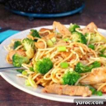 Thai Pork Noodles on an off-white plate, on brown surface, with blue napkin and blue speckled frying pan in the background