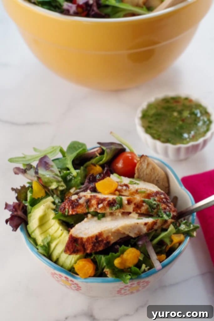 Fiery Cajun Mango Chicken Salad 8 cajun chicken avocado mango salad in a bowl with small dish of dressing in the background