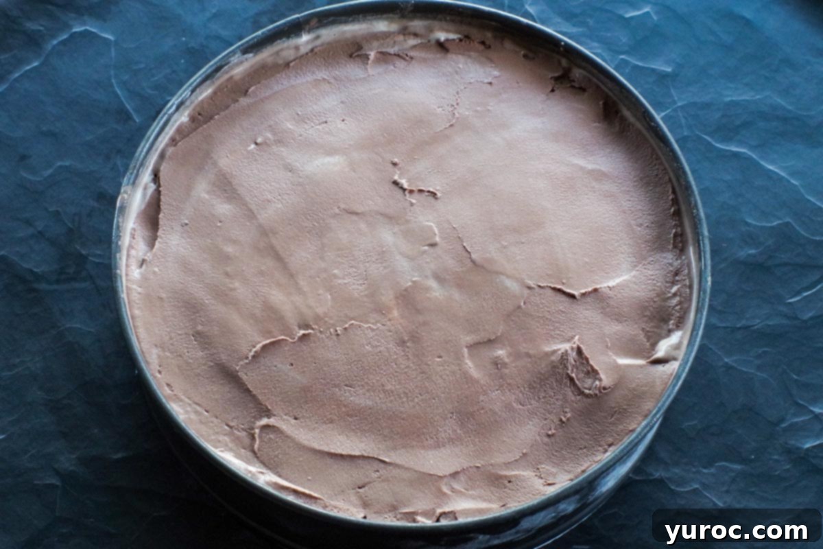 Chocolate cake added to center and smoothed