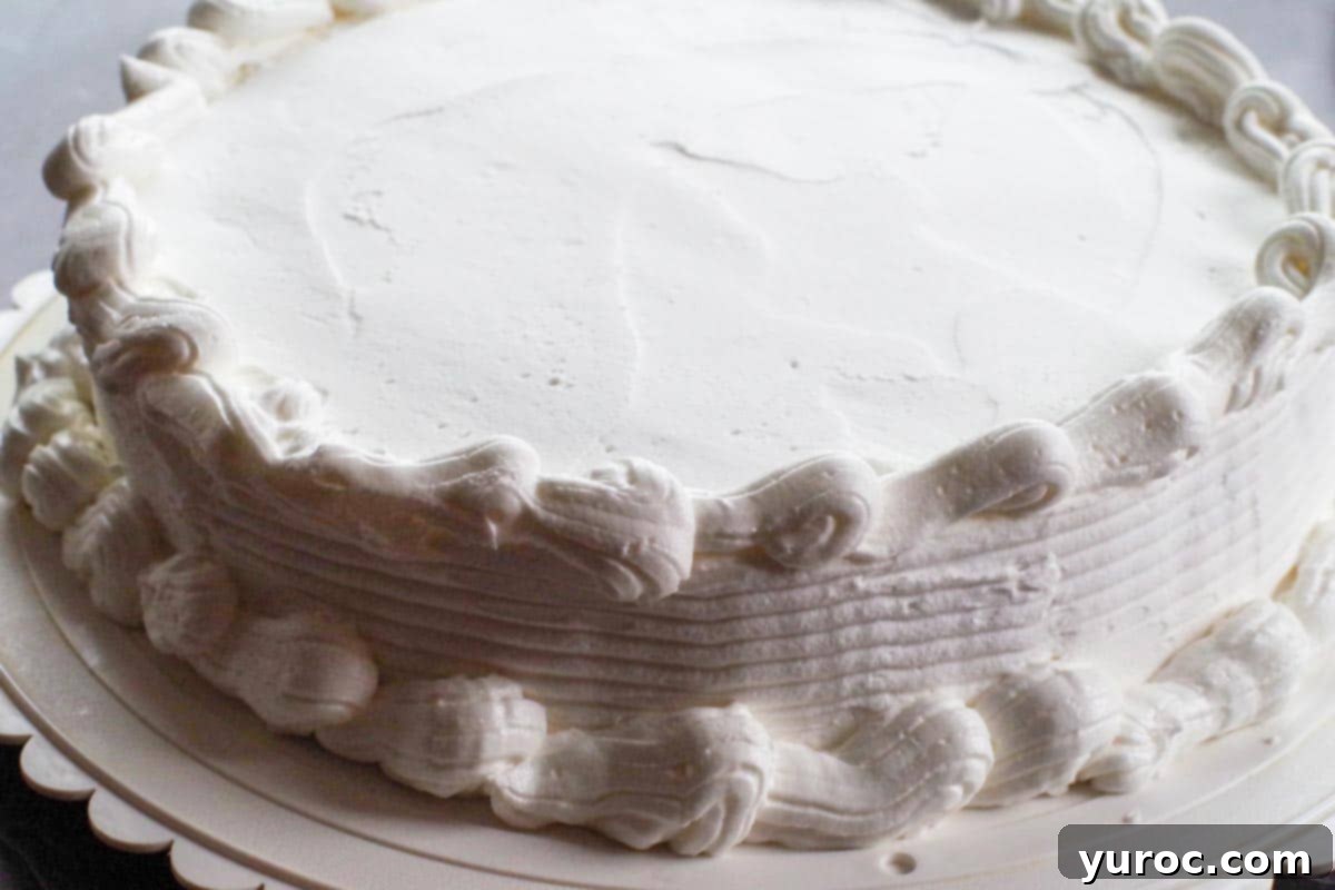 ice cream cake frosted and decorated with white icing and combed sides and shell border