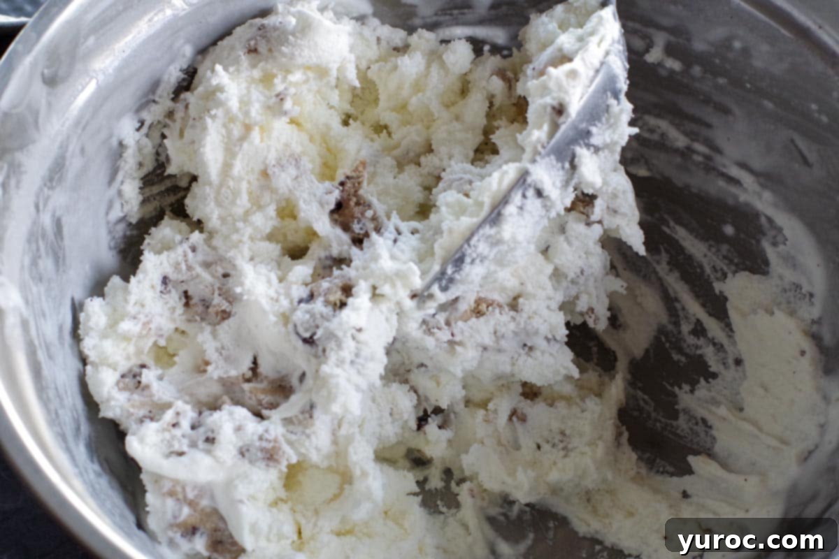 vanilla ice cream and edible cookie dough mixed together