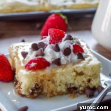 A single chocolate chip sheet pan pancake, garnished with fresh strawberries, whipped cream, a drizzle of syrup, and extra chocolate chips, resting on a white plate with more pancakes on a sheet pan in the background.