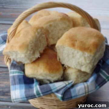 A rustic basket filled with several warm, golden-brown Granny Buns, nestled alongside a charming blue checked cloth.