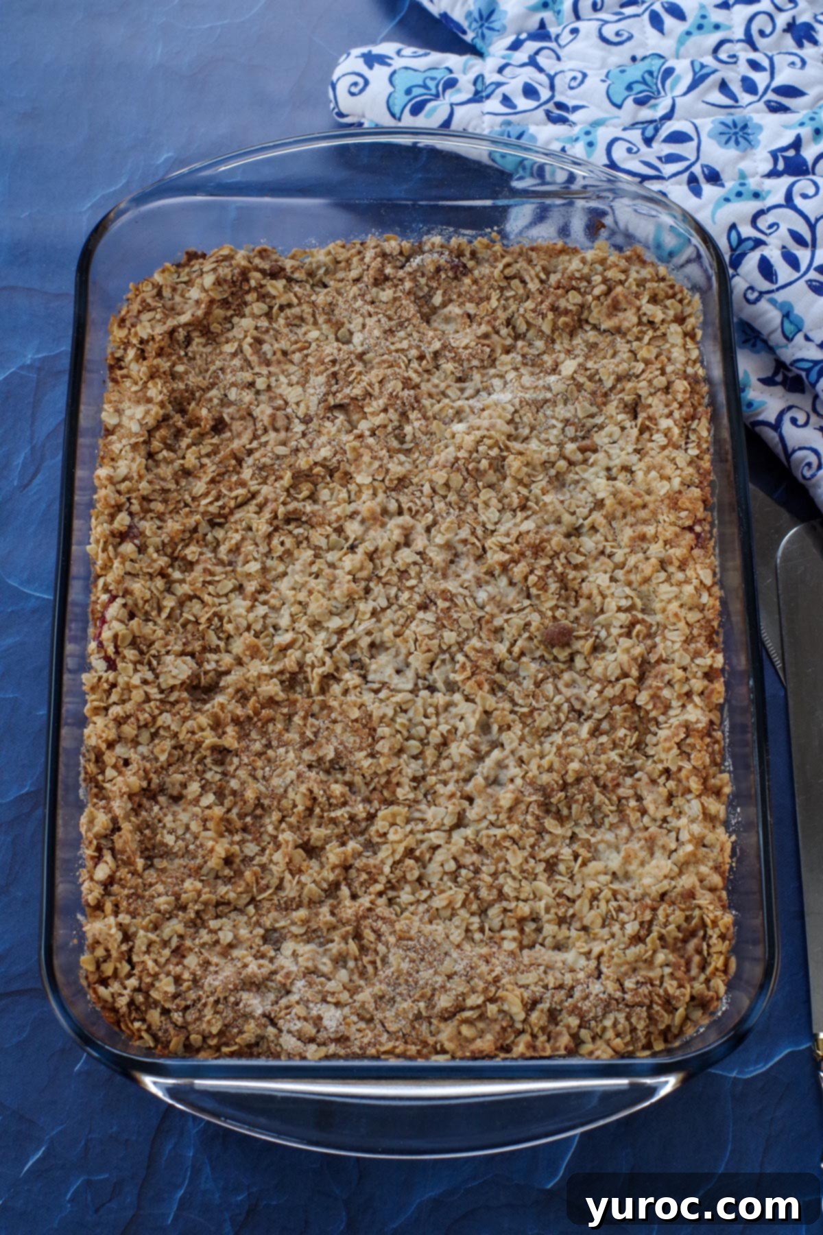 The baked rhubarb squares, golden brown on top, cooling in the baking dish after being removed from the oven.