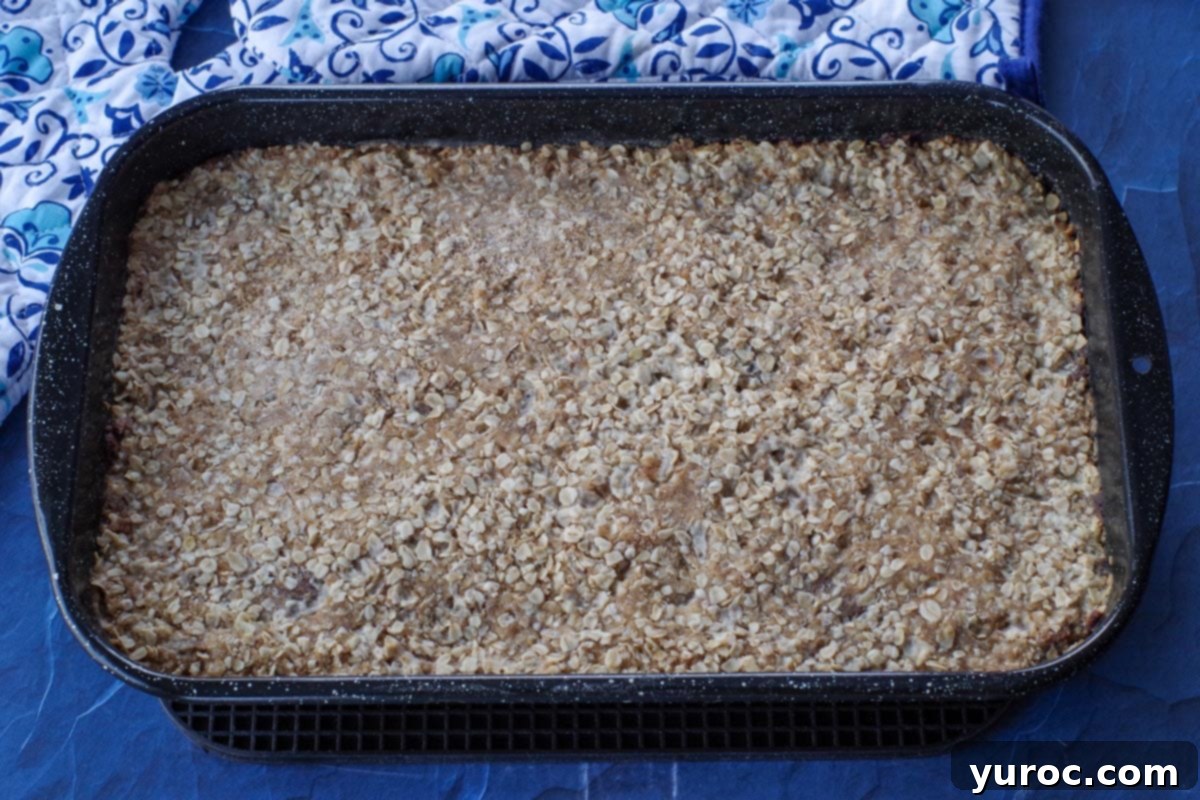 baked date square in 9X13 pan, with blue patterned oven mitt in the background
