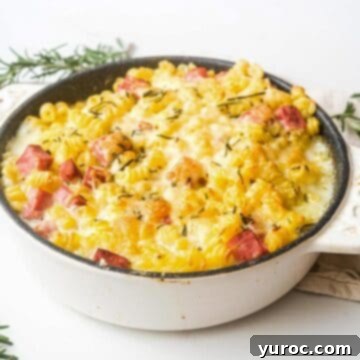 air fryer ham casserole in a white bowl