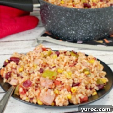leftover ham, rice and beans on a black plate with fork and speckled pot in the background