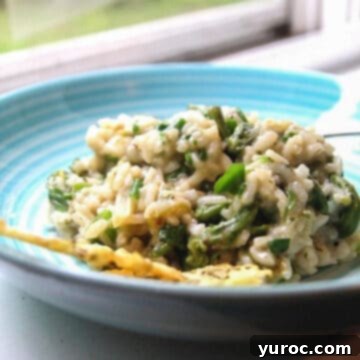 15 Creative Fiddlehead Dishes 16 fiddlehead risotto in a blue bowl, in front of a window