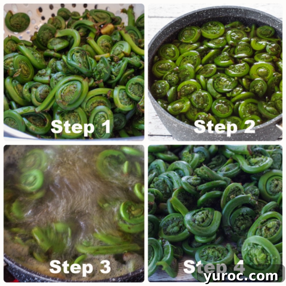15 Creative Fiddlehead Dishes 4 collage of 4 photos of fiddleheads being cooked