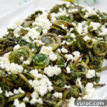 15 Creative Fiddlehead Dishes 10 Roasted Fiddlehead Ferns on a white platter