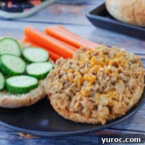 Guilt-Free Turkey Sloppy Joes 6 photo of weight watchers turkey sloppy joes on a black plate with carrots and cucumbers